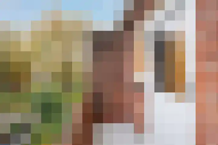 Dr. Schaepmanstraat 12 Ridderkerk thumbnail 13