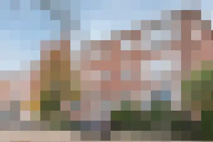 Dr. Schaepmanstraat 12 Ridderkerk thumbnail 18