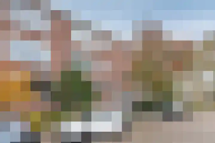 Dr. Schaepmanstraat 12 Ridderkerk thumbnail 19