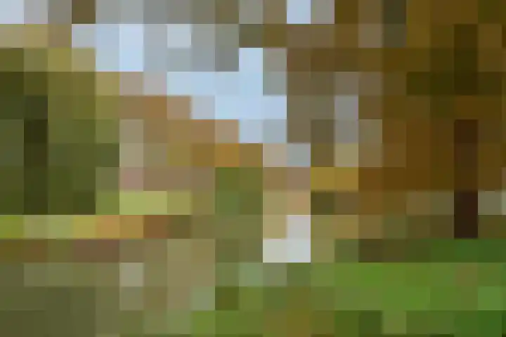Dr. Schaepmanstraat 12 Ridderkerk thumbnail 20