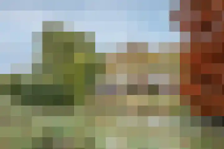 Dr. Schaepmanstraat 12 Ridderkerk thumbnail 21