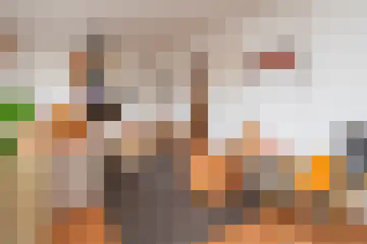 Dr. Schaepmanstraat 12 Ridderkerk thumbnail 4