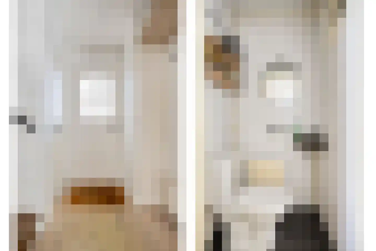 Dr. Schaepmanstraat 123 Valkenswaard thumbnail 10