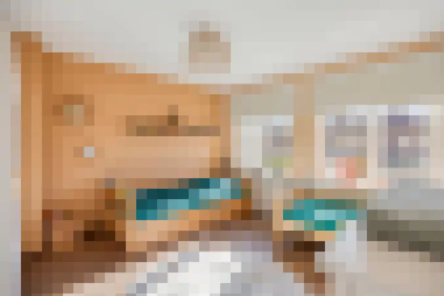 Dr. Schaepmanstraat 123 Valkenswaard thumbnail 25