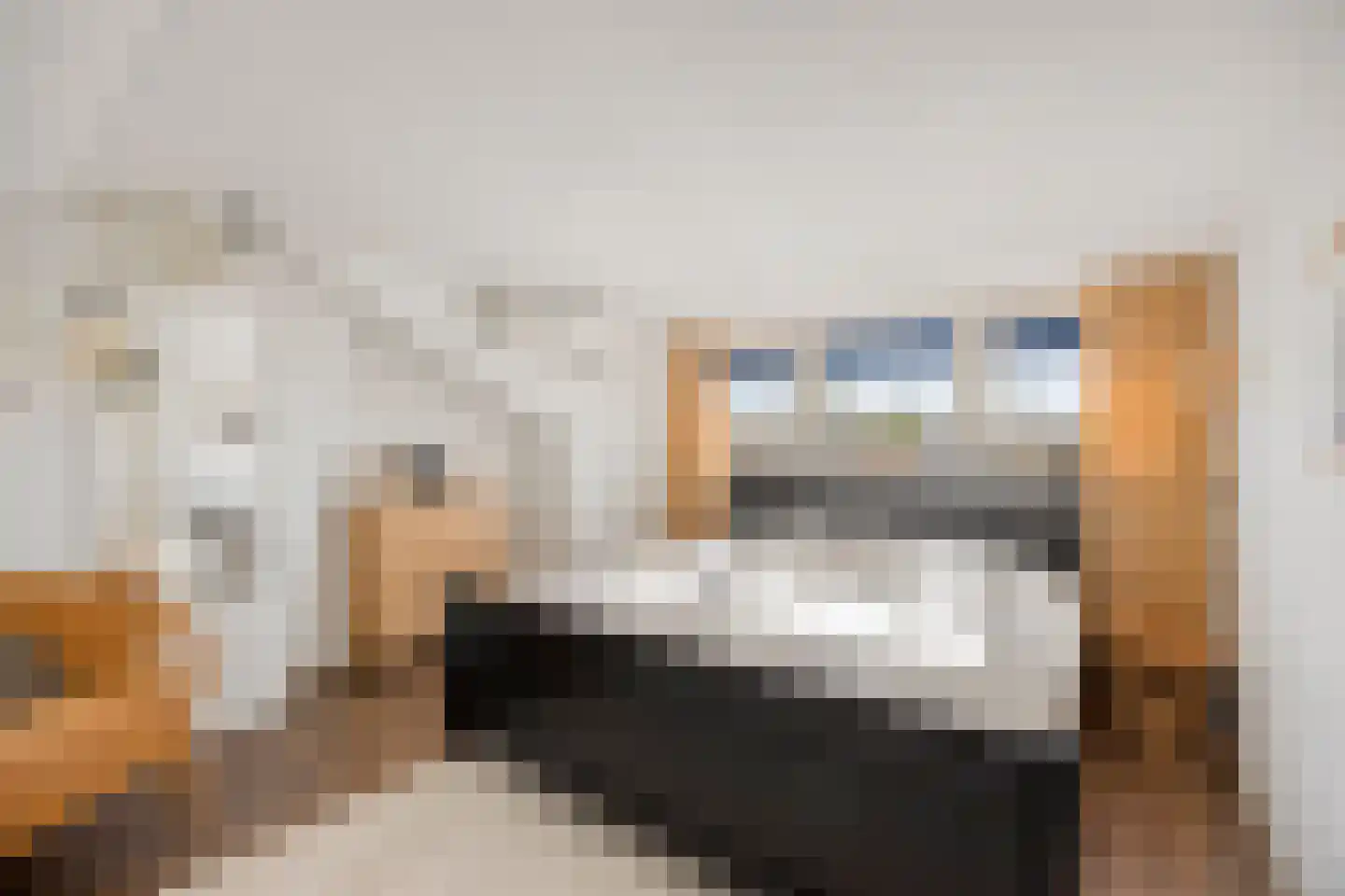Dr. Schaepmanstraat 123 Valkenswaard thumbnail 31