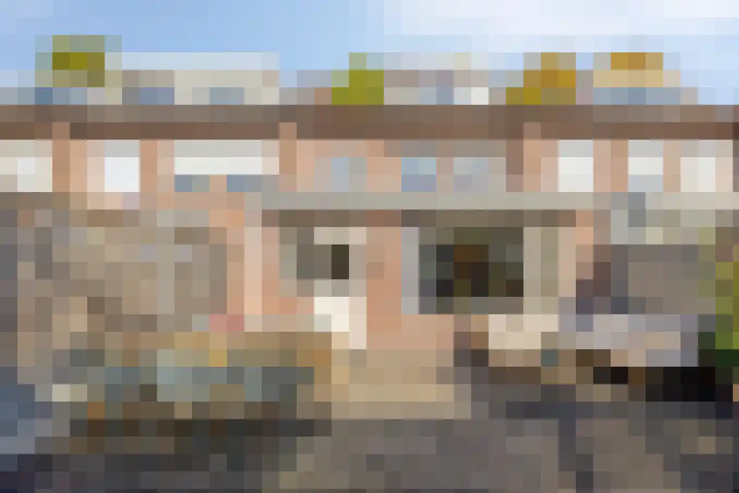 Dr. Schaepmanstraat 123 Valkenswaard thumbnail 35