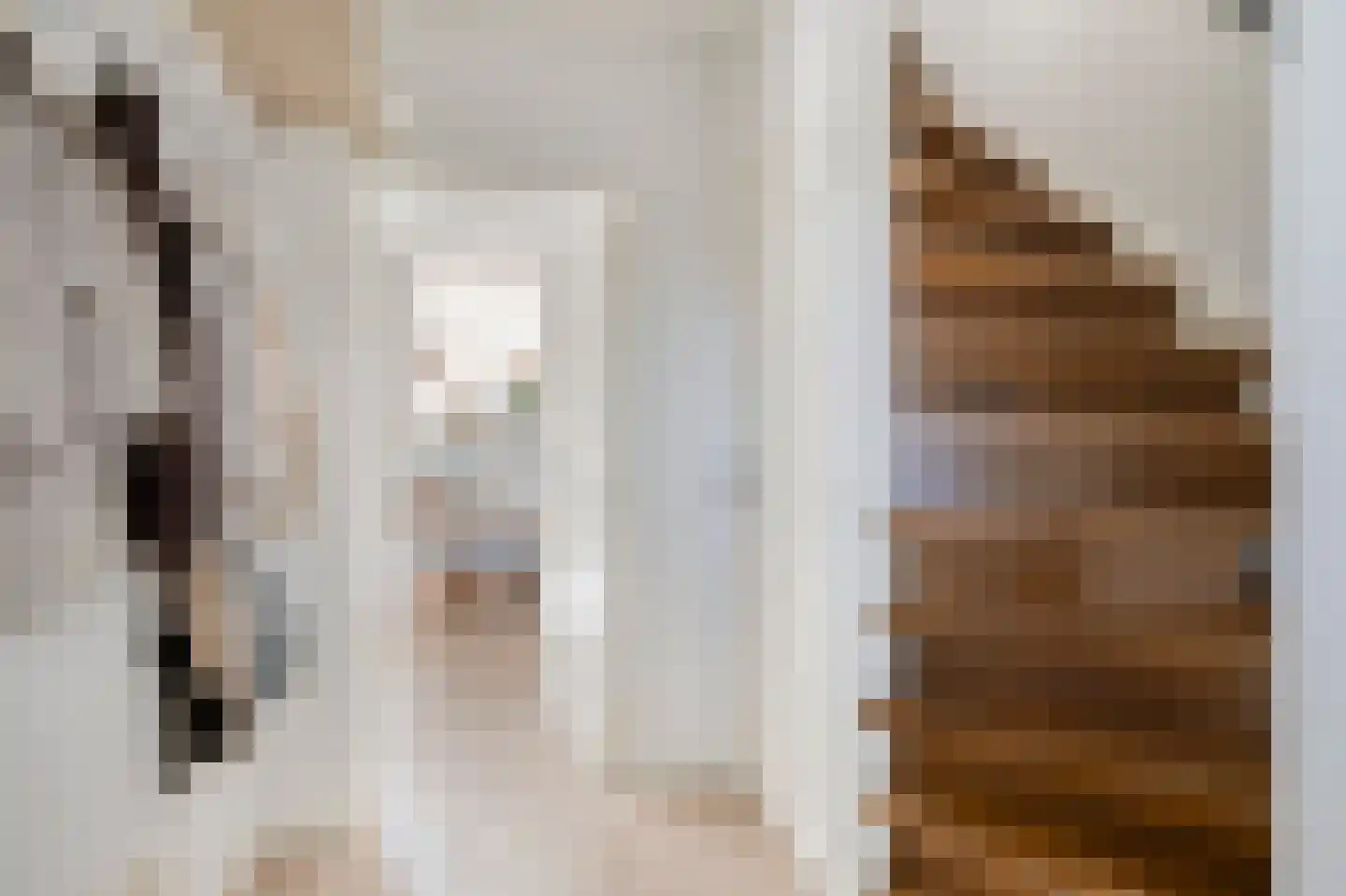 Dr. Schaepmanstraat 123 Valkenswaard thumbnail 8