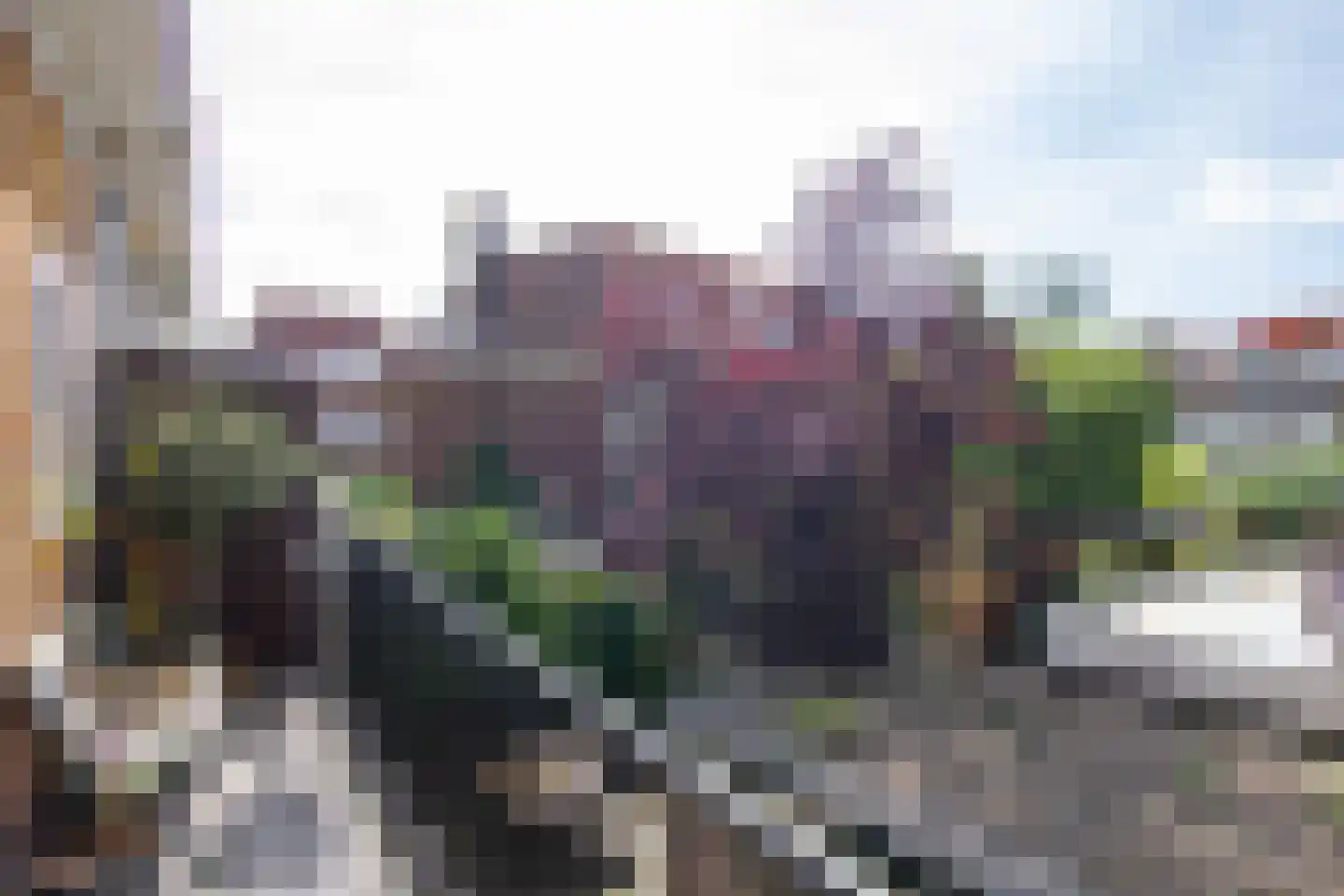 Dr. Schaepmanstraat 125 Haarlem thumbnail 25