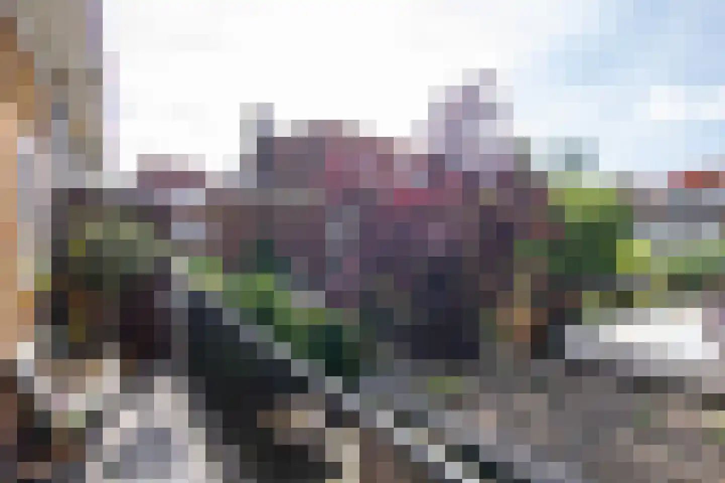 Dr. Schaepmanstraat 125 Haarlem thumbnail 26