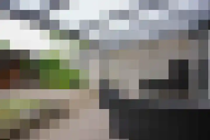Dr. Schaepmanstraat 13 Geleen thumbnail 16