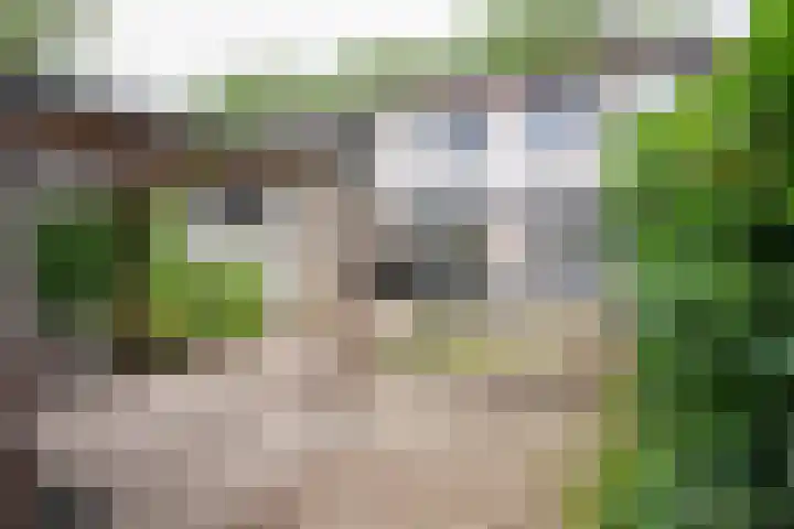 Dr. Schaepmanstraat 13 Geleen thumbnail 17