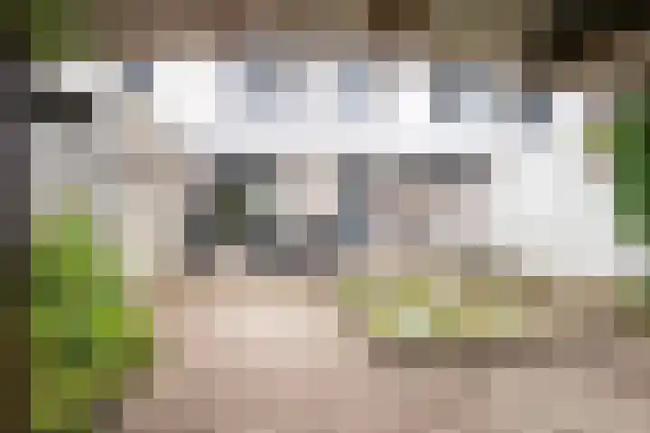 Dr. Schaepmanstraat 13 Geleen thumbnail 18