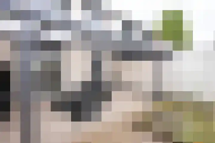 Dr. Schaepmanstraat 13 Geleen thumbnail 19