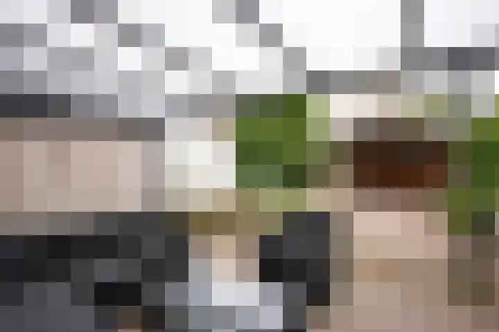 Dr. Schaepmanstraat 13 Geleen thumbnail 20