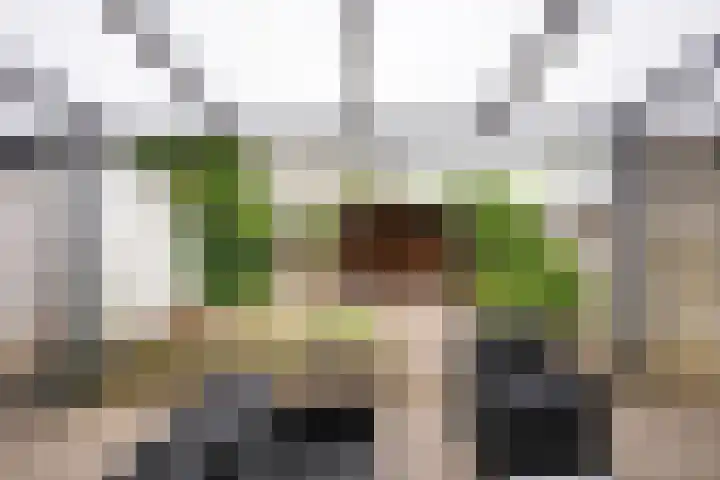 Dr. Schaepmanstraat 13 Geleen thumbnail 21