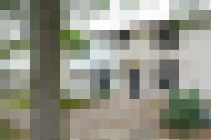 Dr. Schaepmanstraat 13 Geleen thumbnail 22