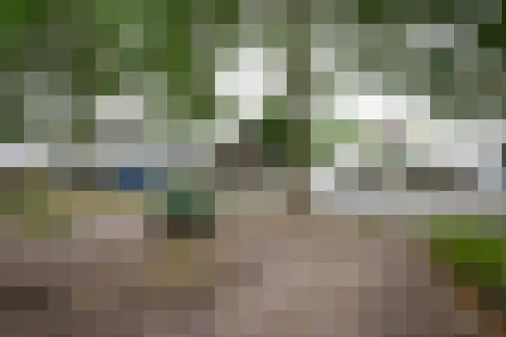 Dr. Schaepmanstraat 13 Geleen thumbnail 24