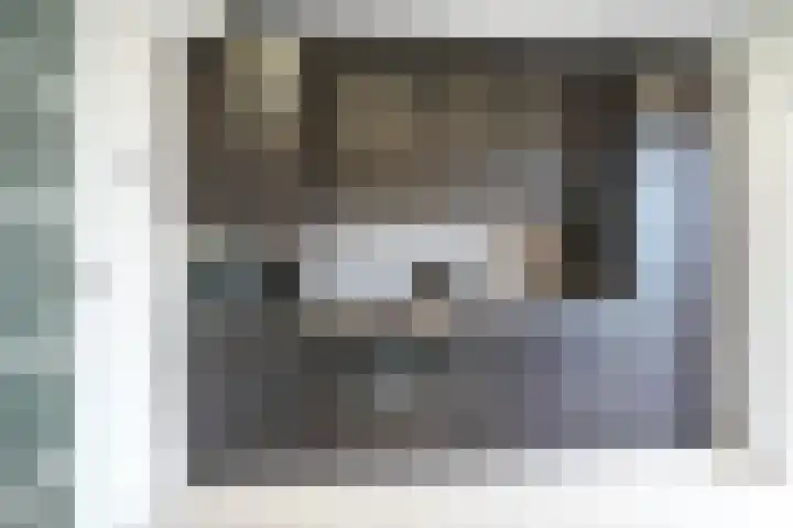 Dr. Schaepmanstraat 13 Geleen thumbnail 8