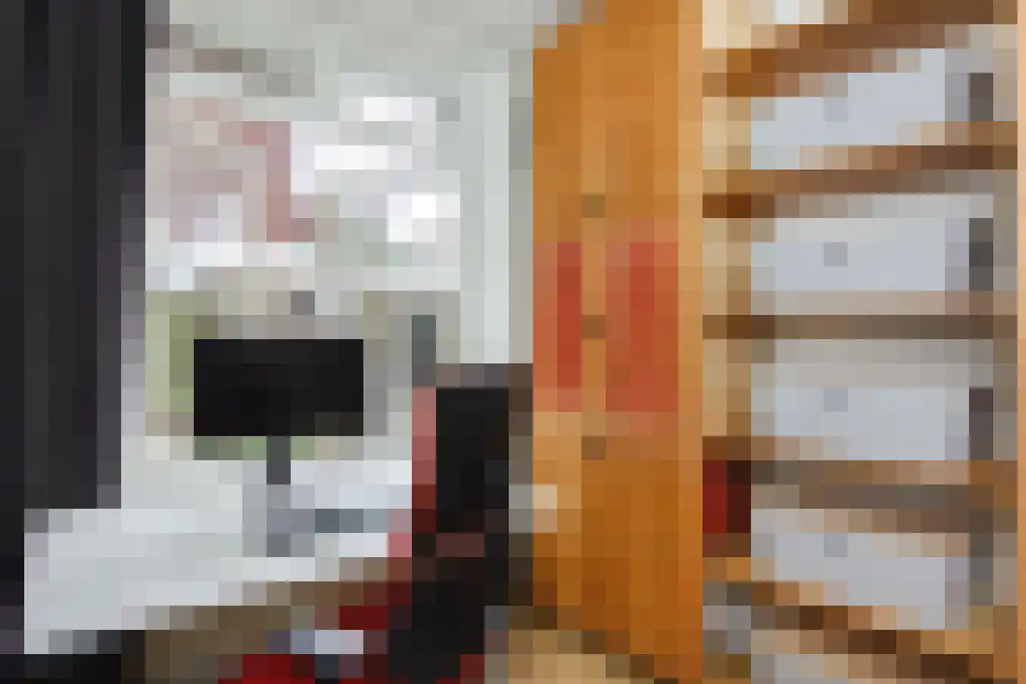Dr. Schaepmanstraat 131 Haarlem thumbnail 30