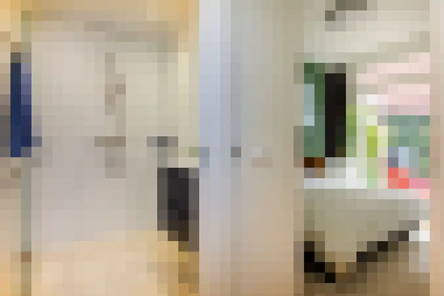 Dr. Schaepmanstraat 131 Haarlem thumbnail 35