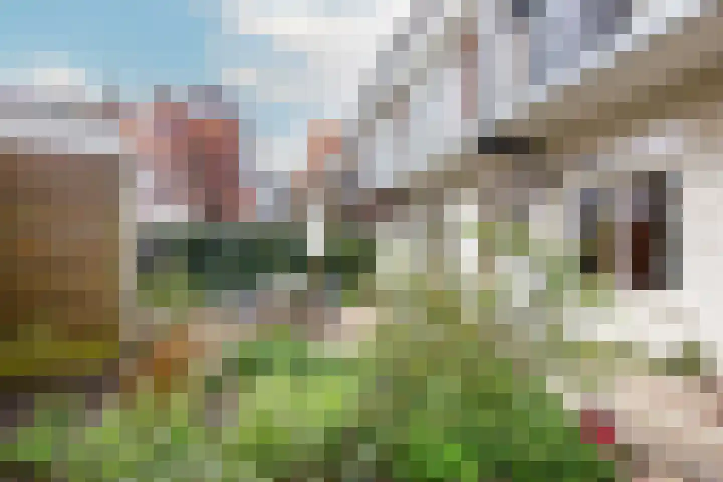 Dr. Schaepmanstraat 131 Haarlem thumbnail 40