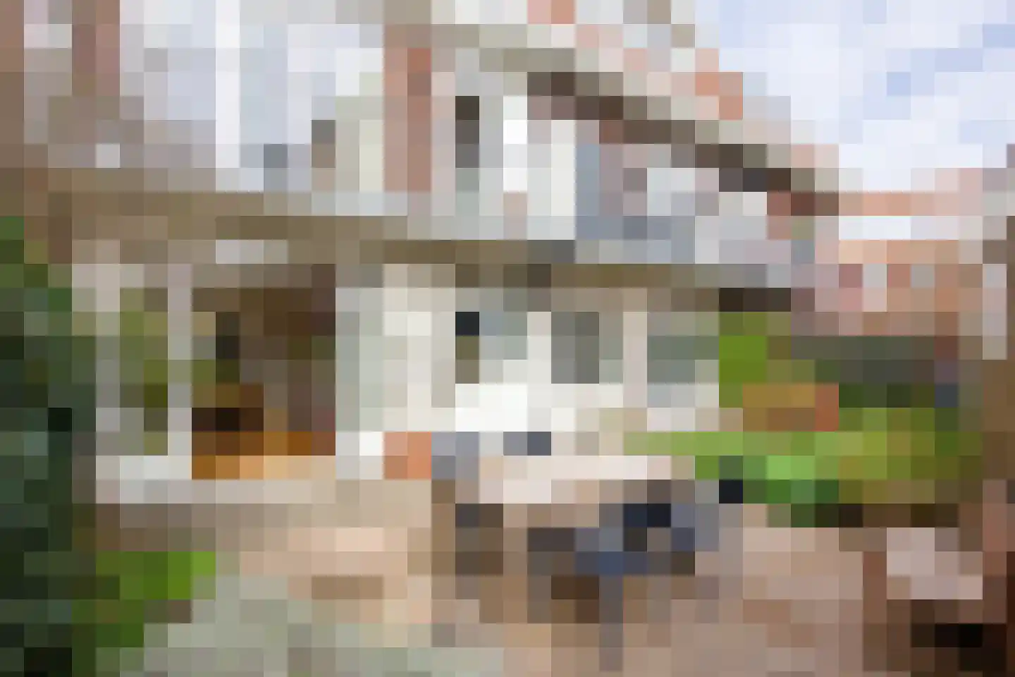 Dr. Schaepmanstraat 131 Haarlem thumbnail 43