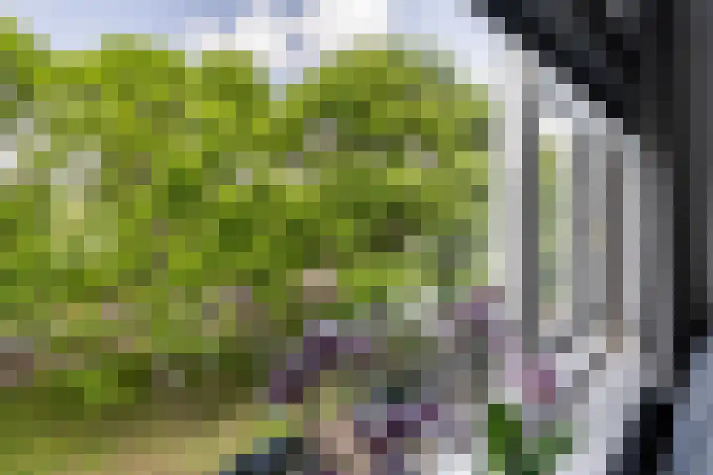 dr. Schaepmanstraat 14 C Vlaardingen thumbnail 21