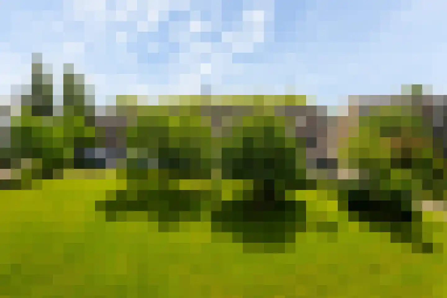 dr. Schaepmanstraat 14 C Vlaardingen thumbnail 6