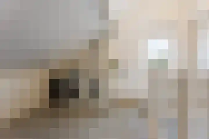 Dr. Schaepmanstraat 14 Hengelo thumbnail 36