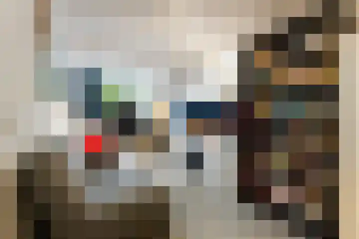 Dr. Schaepmanstraat 14 Hengelo thumbnail 38