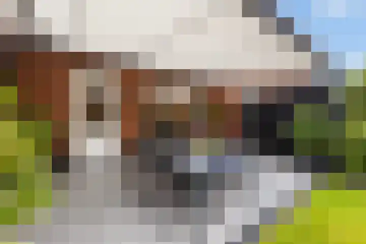 Dr. Schaepmanstraat 14 Hengelo thumbnail 44