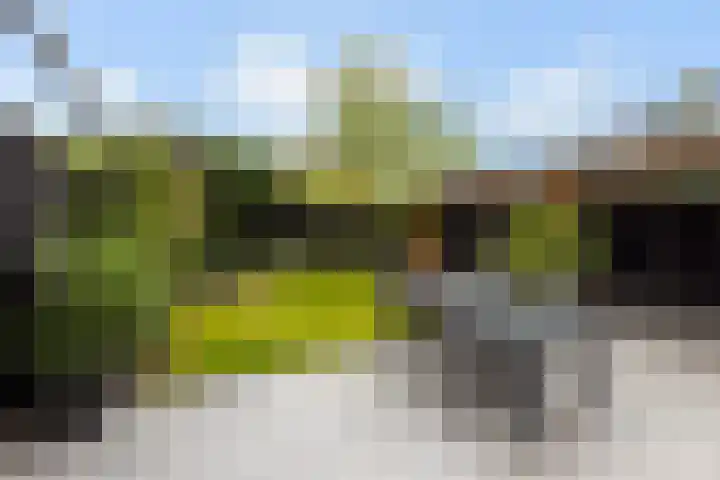 Dr. Schaepmanstraat 14 Hengelo thumbnail 46