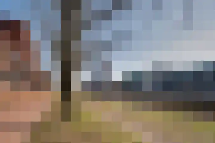 Dr. Schaepmanstraat 145 Assen thumbnail 23