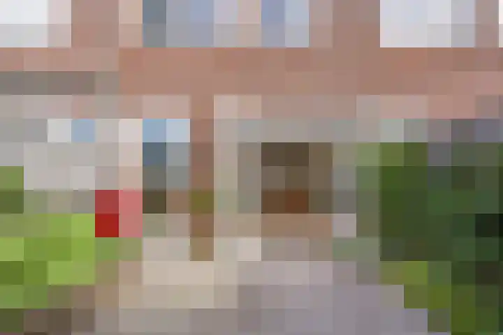 Dr. Schaepmanstraat 167 Haarlem thumbnail 13