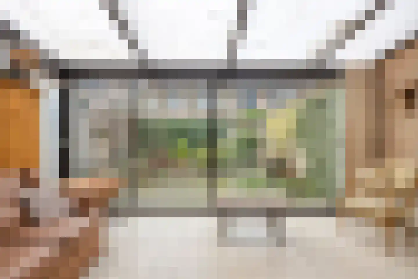 Dr. Schaepmanstraat 17 Berkel-Enschot thumbnail 10