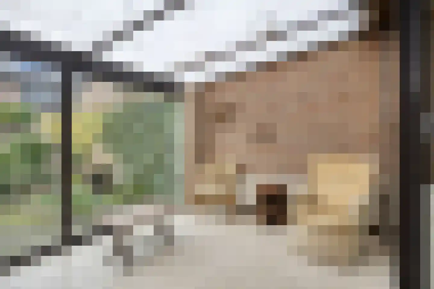 Dr. Schaepmanstraat 17 Berkel-Enschot thumbnail 12