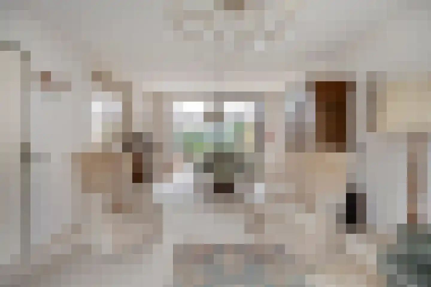 Dr. Schaepmanstraat 17 Berkel-Enschot thumbnail 7