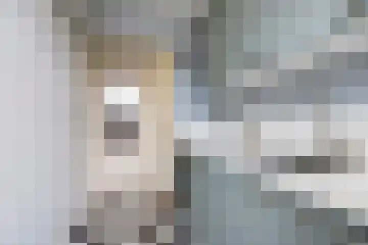 Dr. Schaepmanstraat 21 's-Hertogenbosch thumbnail 10