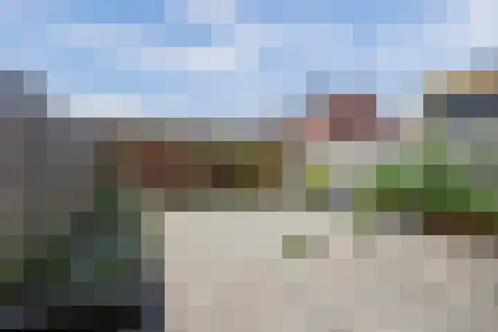 Dr. Schaepmanstraat 21 's-Hertogenbosch thumbnail 24