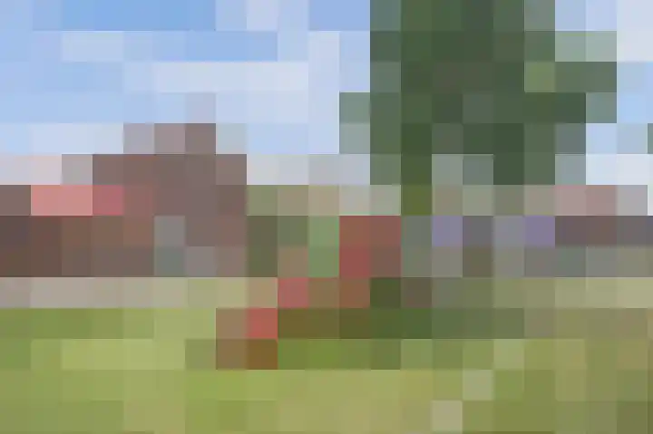 Dr. Schaepmanstraat 21 's-Hertogenbosch thumbnail 27