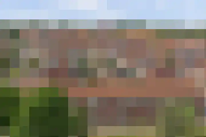 Dr. Schaepmanstraat 21 's-Hertogenbosch thumbnail 31