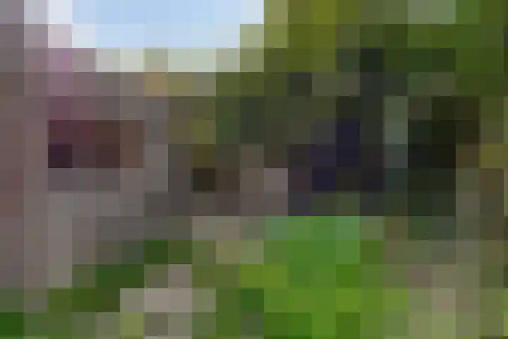 Dr. Schaepmanstraat 21 Valkenswaard thumbnail 21