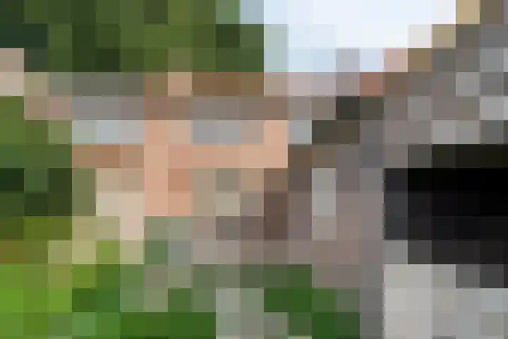 Dr. Schaepmanstraat 21 Valkenswaard thumbnail 23