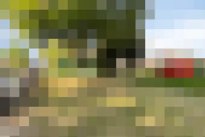 Dr. Schaepmanstraat 21 Valkenswaard thumbnail 24