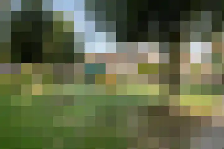Dr. Schaepmanstraat 21 Valkenswaard thumbnail 25