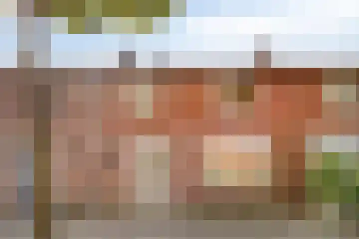 Dr. Schaepmanstraat 21 Valkenswaard thumbnail 30