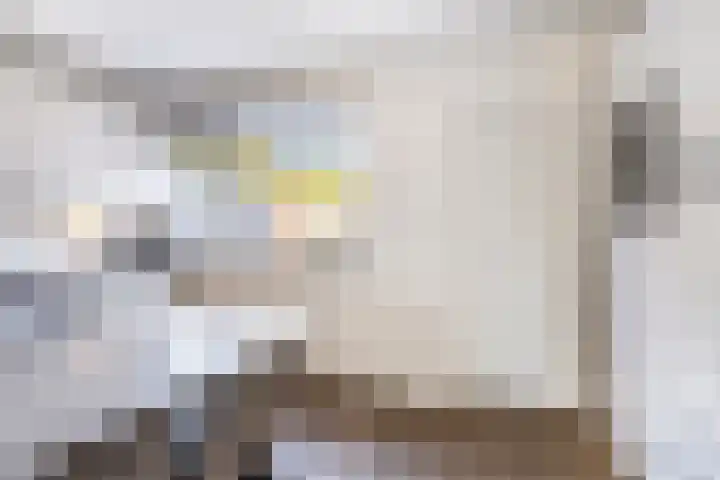 Dr Schaepmanstraat 23 B Ulft thumbnail 18
