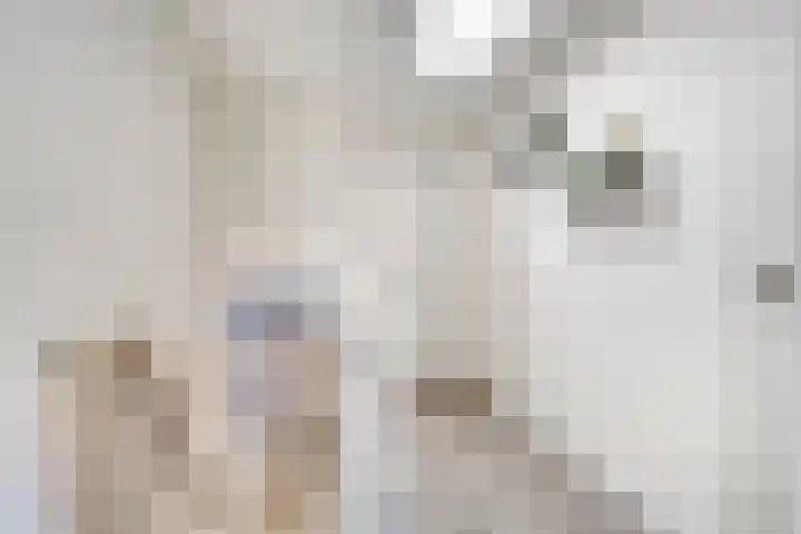 Dr Schaepmanstraat 23 B Ulft thumbnail 25