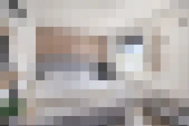 Dr Schaepmanstraat 23 B Ulft thumbnail 26