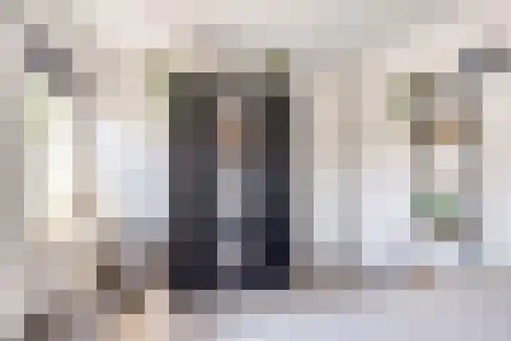 Dr Schaepmanstraat 23 B Ulft thumbnail 27